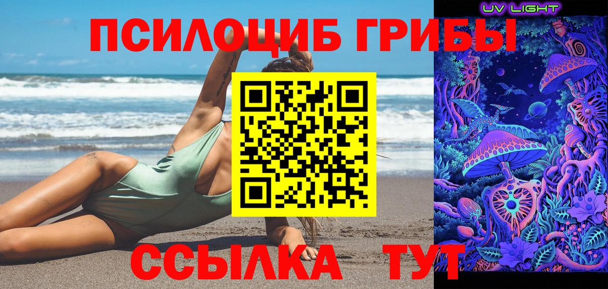 где найти   Вход с VPN  Кингисепп  Псилоцибиновые грибы Cubensis 